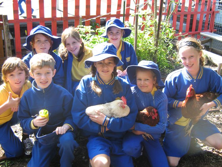 Bronte Public School Green Teram