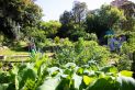 Garden_Awards-_Shared_Garden-_Waverley_Community_Garden.jpg