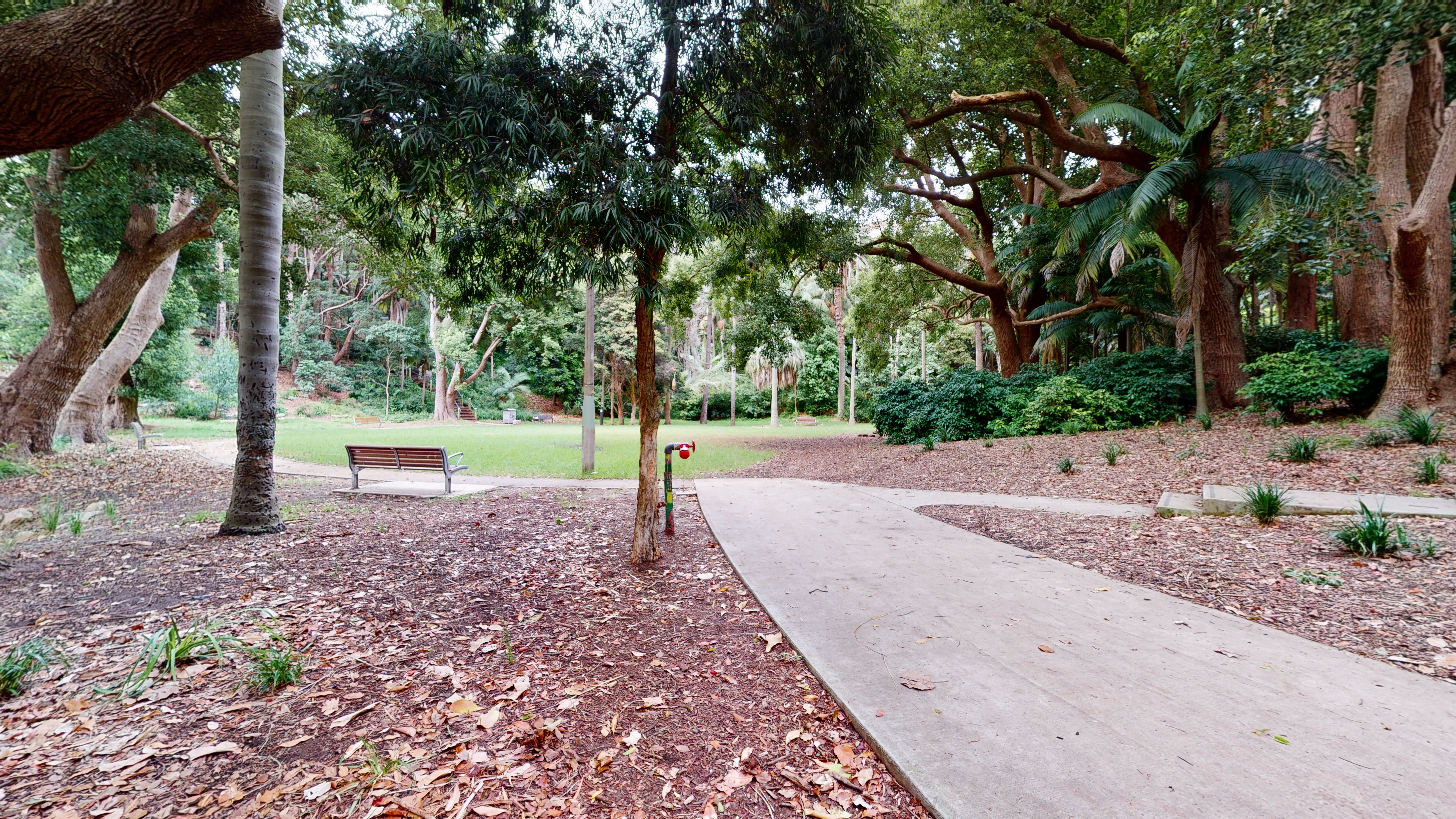 Thomas Hogan Reserve Hall