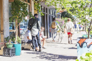 Image of shoppers walking past planter boxes installed outside cafes along the Bronte Road village shops