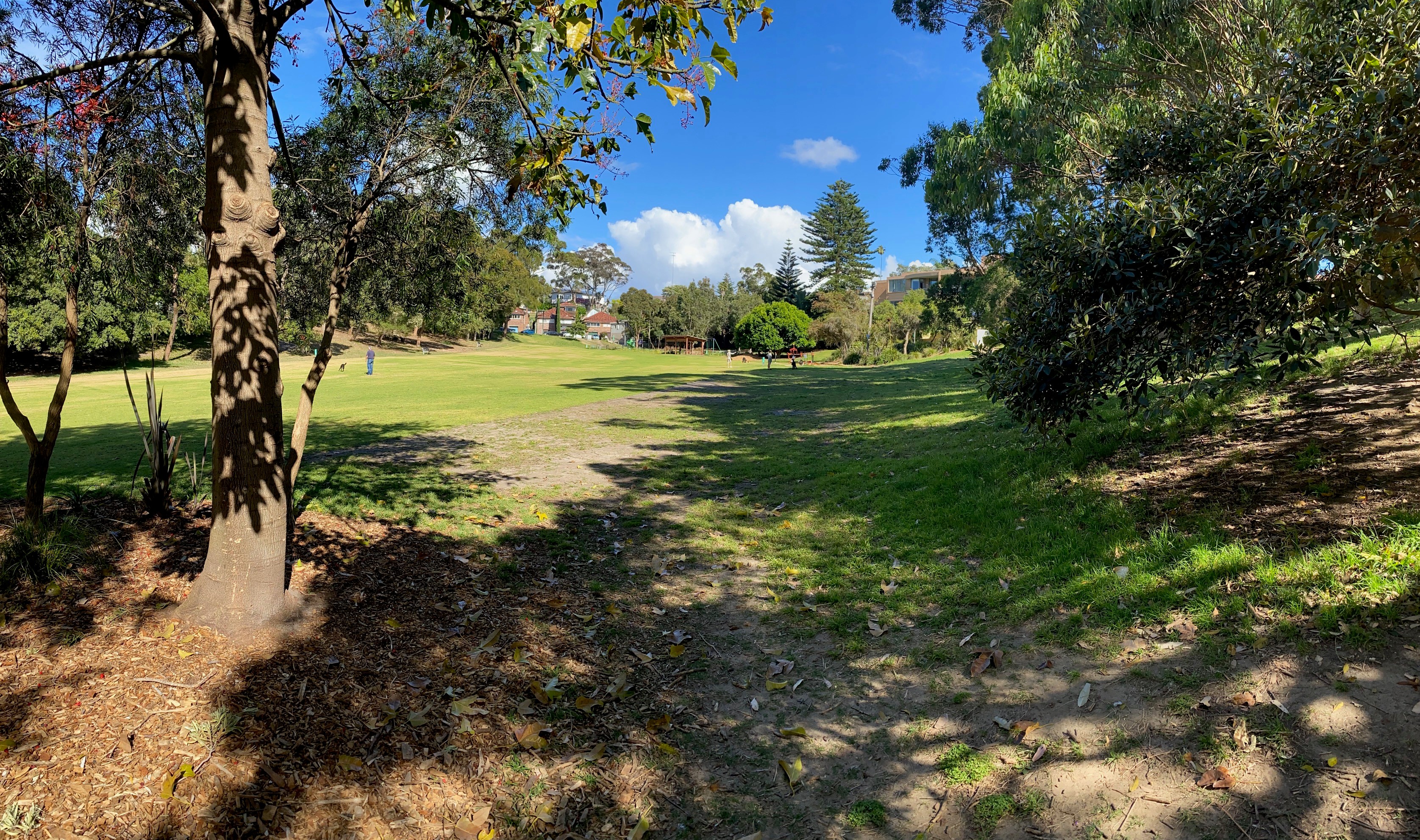 Varna Park dog off leash