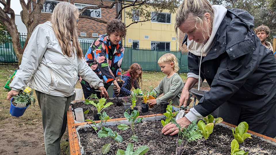 working on the veggie patches at wairoa reserve