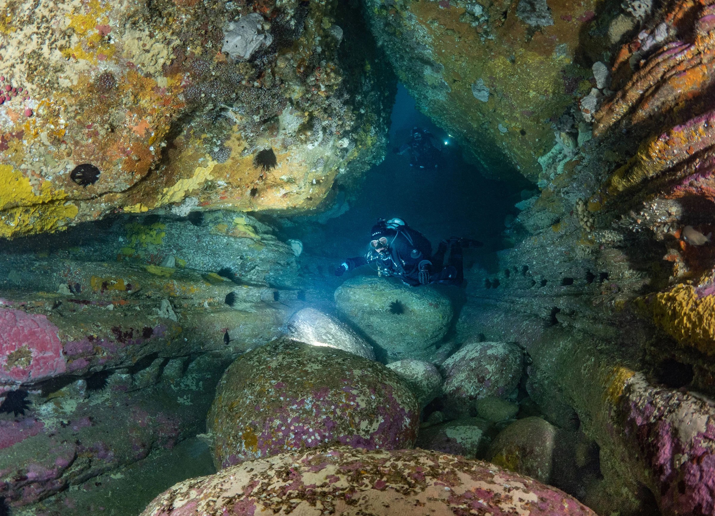 Divers amongst the rocks at North Bondi