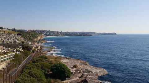 Friends of Waverley Cemeteries