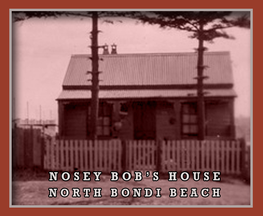 An uncommon hangman, the life and deaths of Robert 'Nosey Bob' Howard —  Professional Historians Australia