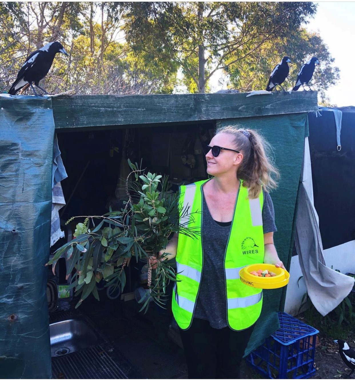Stephanie with rescued magpies