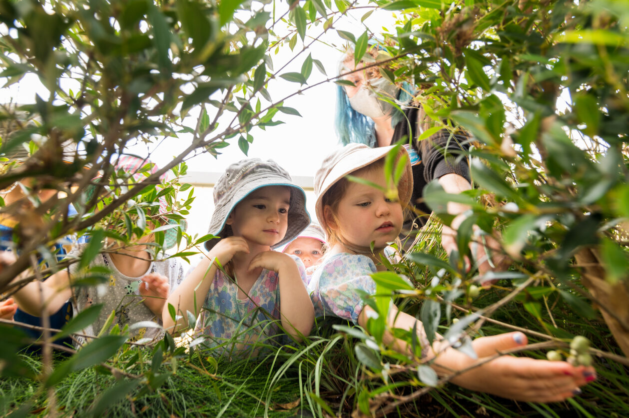 Children touching native plants