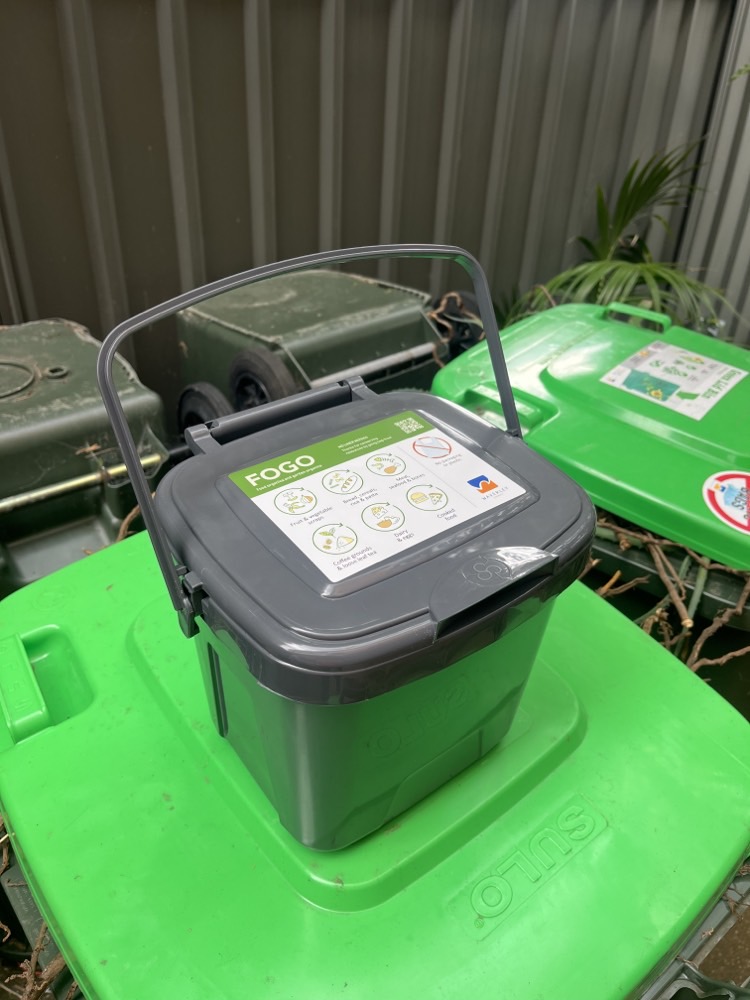 FOGO bins
