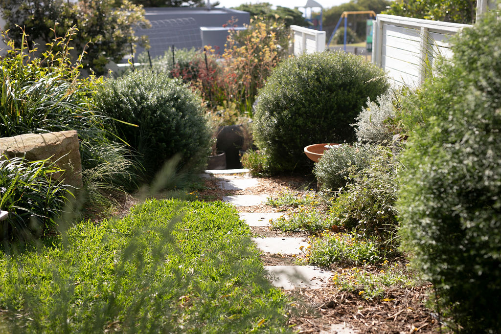 A photo of Megan's front garden including full pruned native shrubs either side of the path.