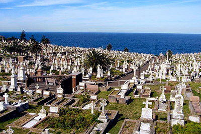 Waverley Cemetery  photo