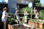 Shared gardens 