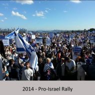 2014_pro_israel_rally_web.jpg