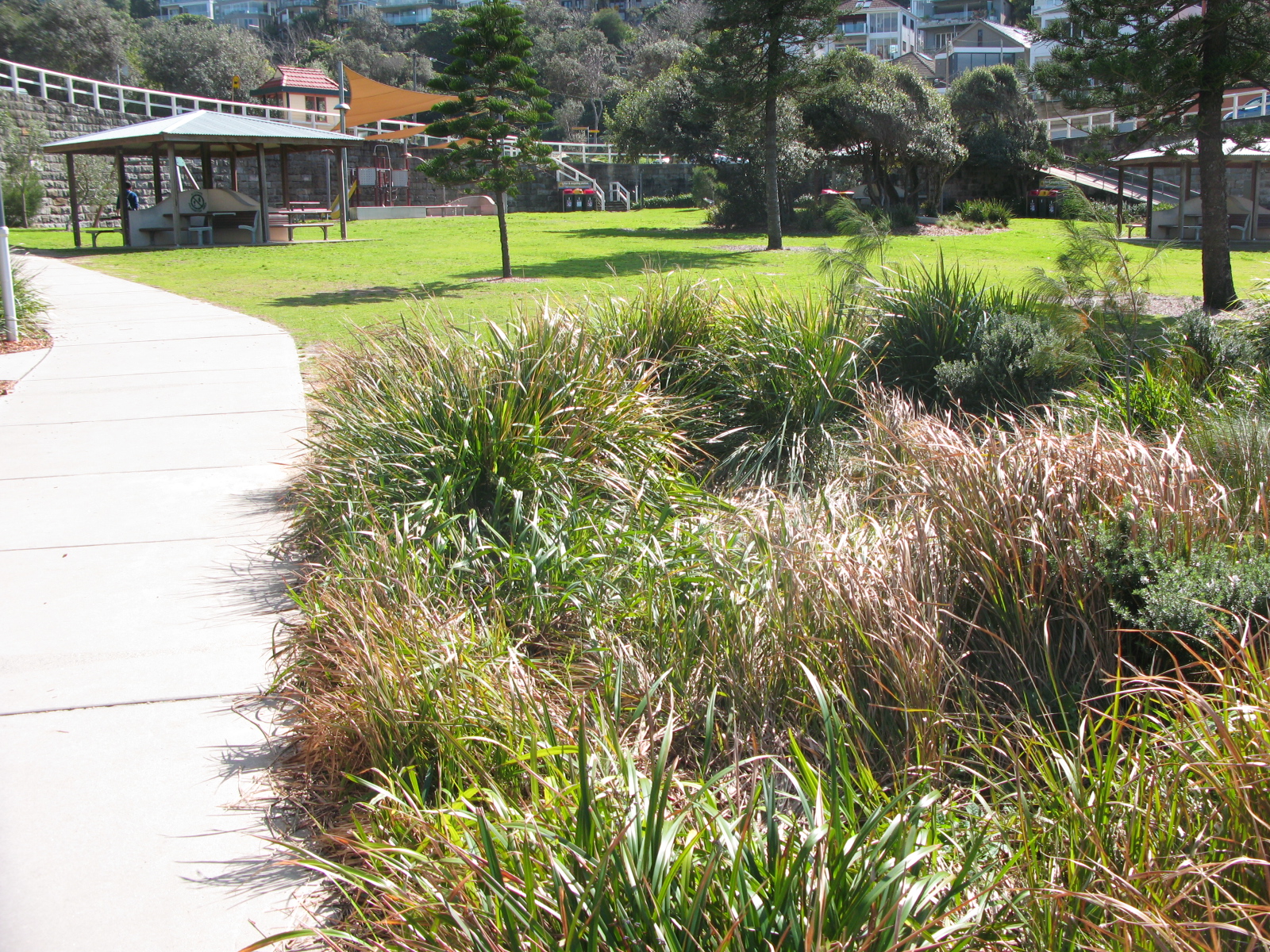 Tamarama Park 