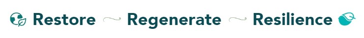 restore regenerate resilience