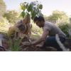Science Week: Documentary Film - 2040 thumbnail