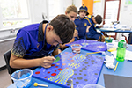 Waverley Flag Art Project