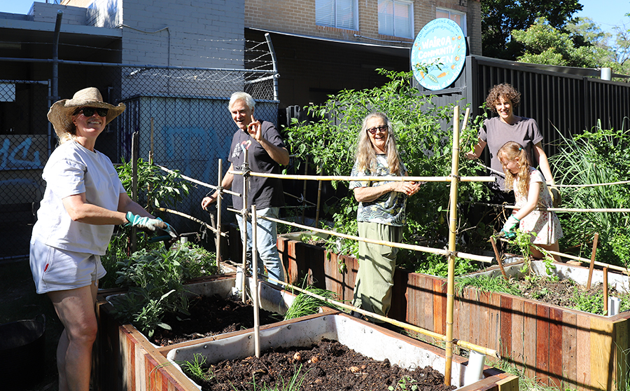 Shared gardens 