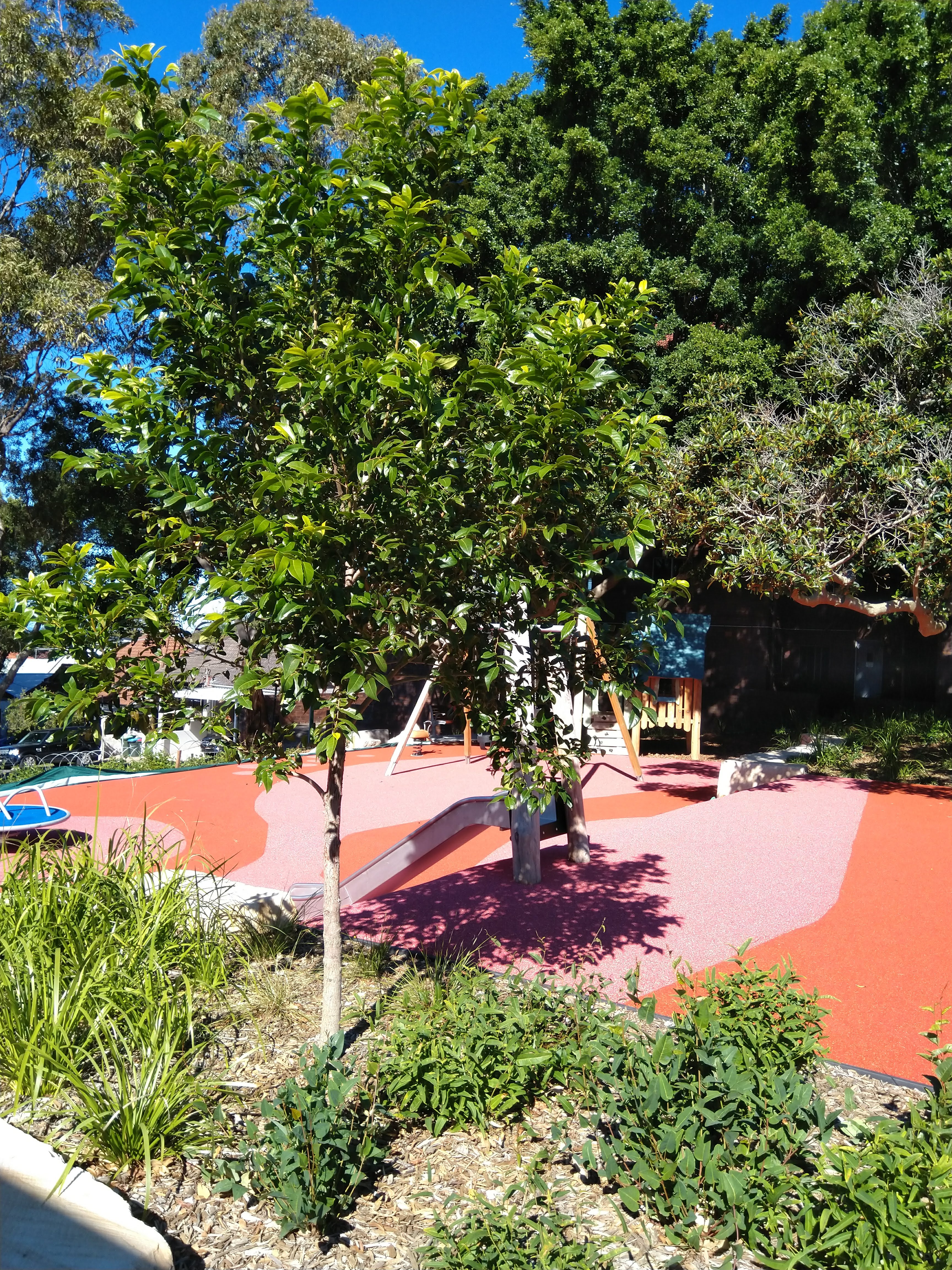 Stephen Street Reserve