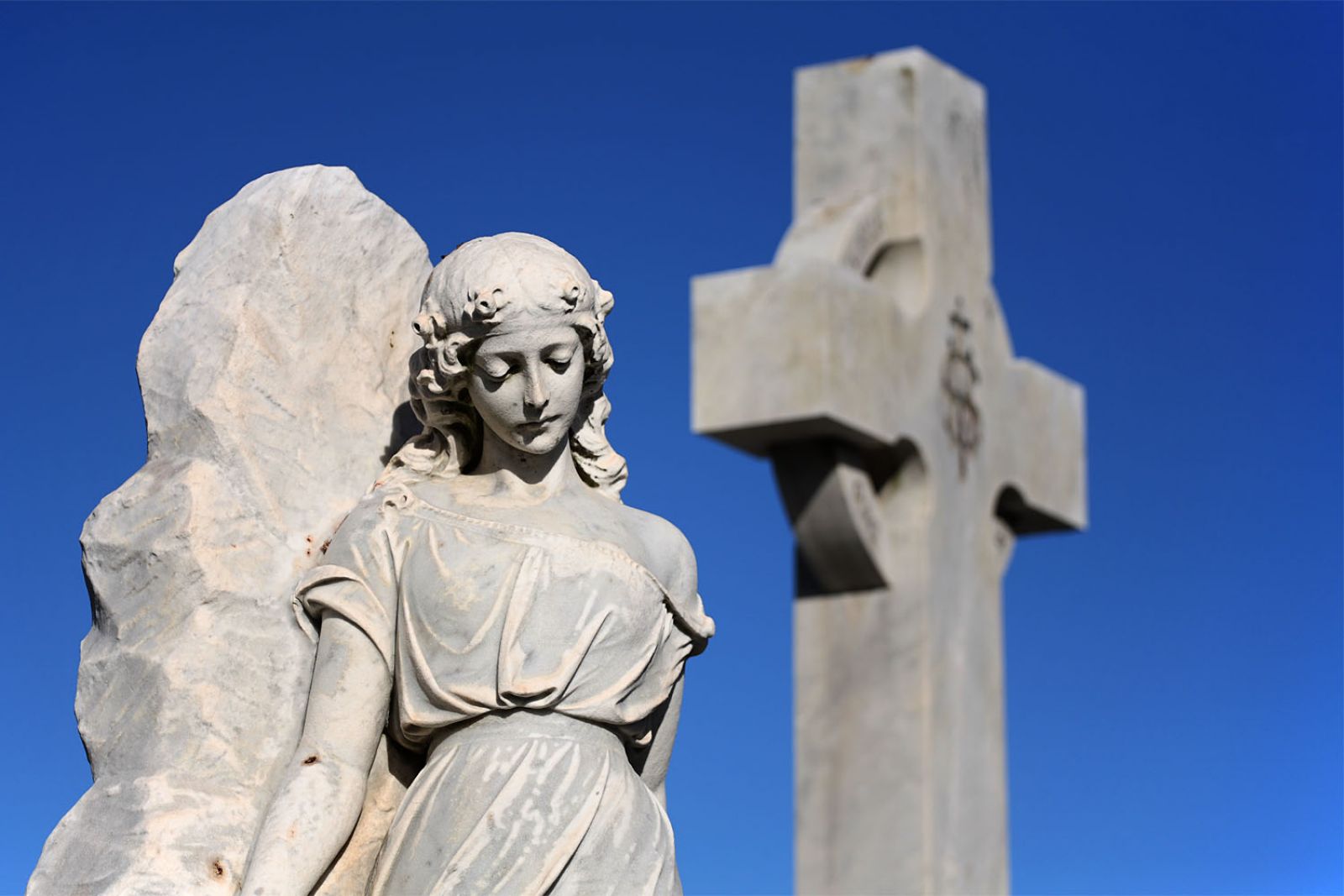 angel banner image