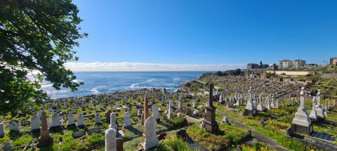 Waverley Cemetery