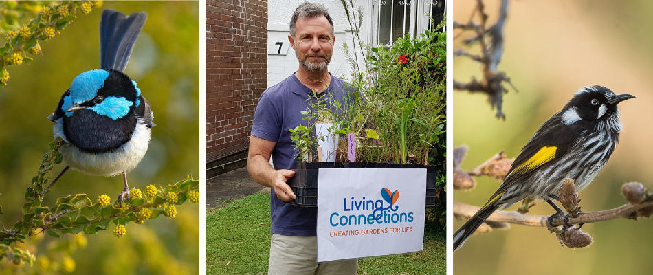 Birds and person holding living connections plant kit