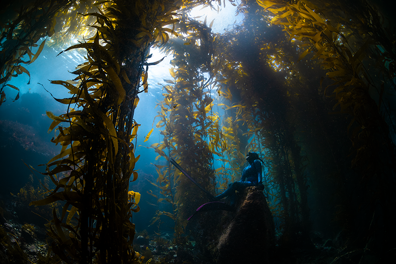 Woman sitting on rock underwater looking at Kelp Forest