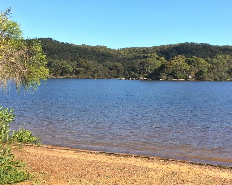 Manly dam waters surrounded by vegetation