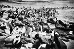 Bondi beach