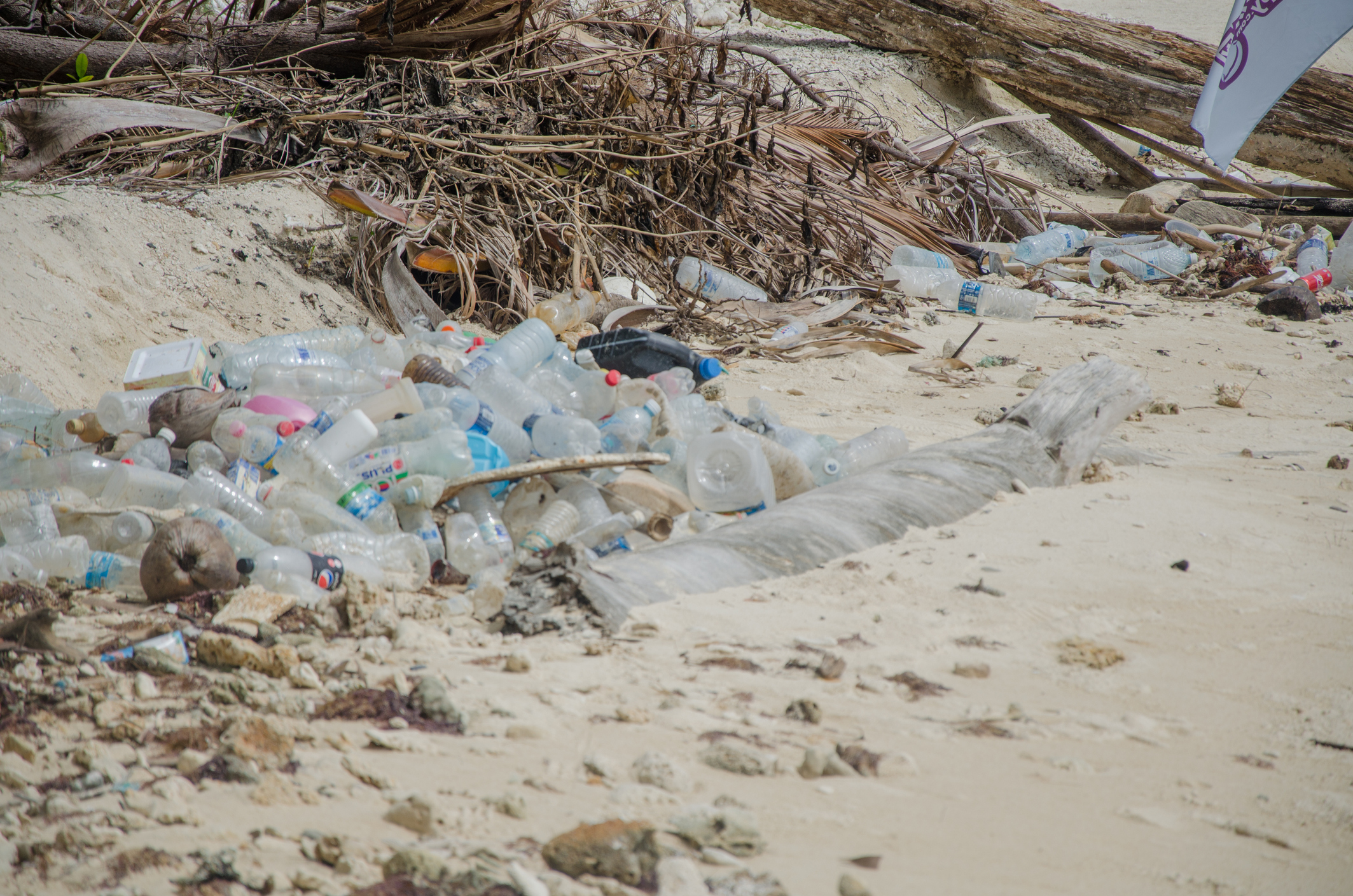 plastic bottles on beach