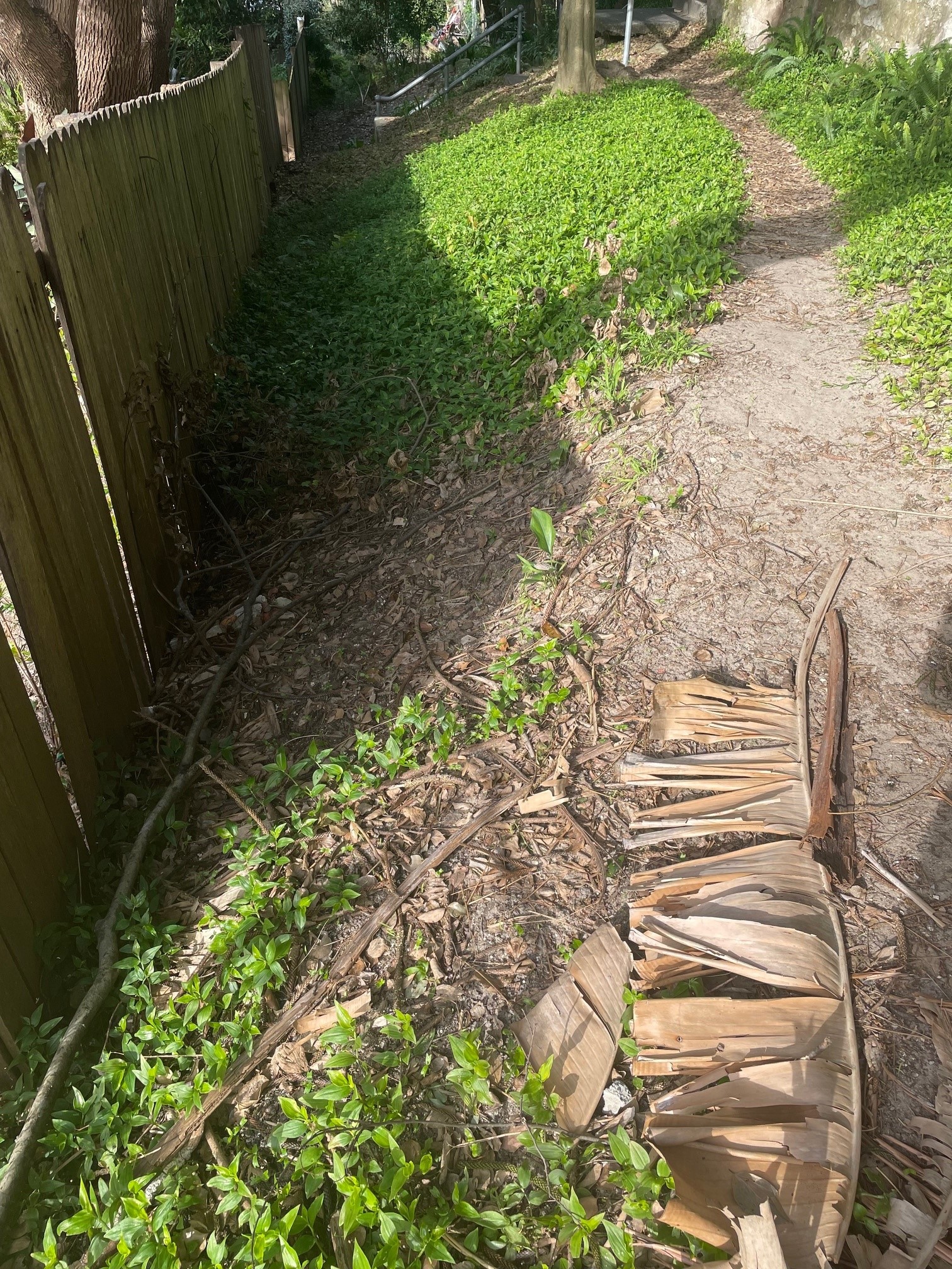 Restoring the laneway 2