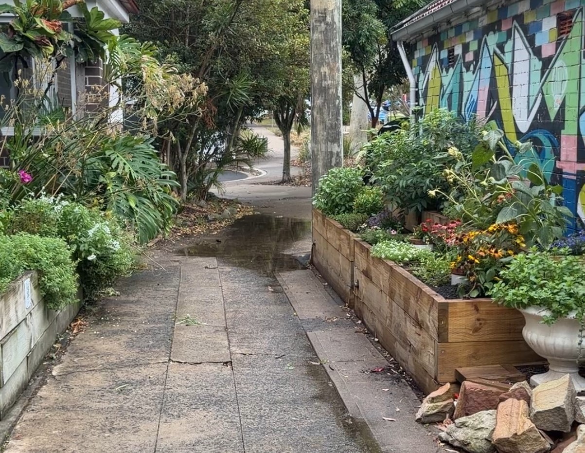 laneway garden