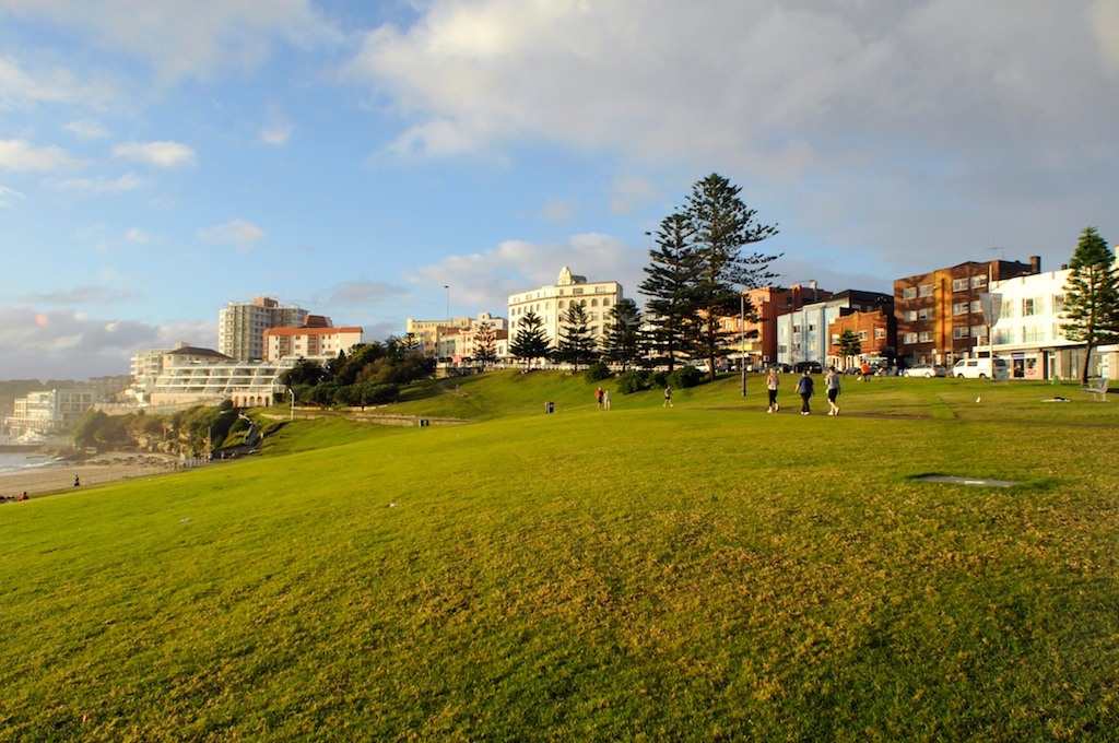 Bondi Park & Biddigal Reserve