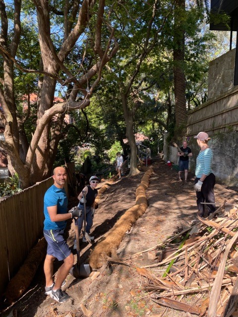 Restoring the laneway 3