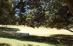 Varna Park