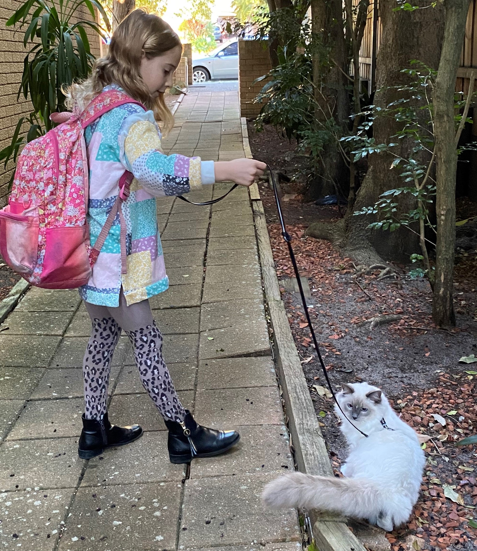 Young girl walking cat on lead