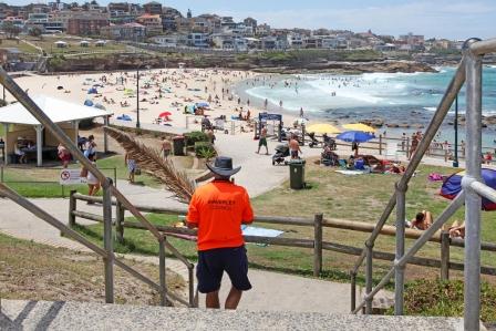 Waverley Council staff at Bronte Beach