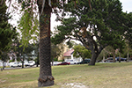 Simpson Park