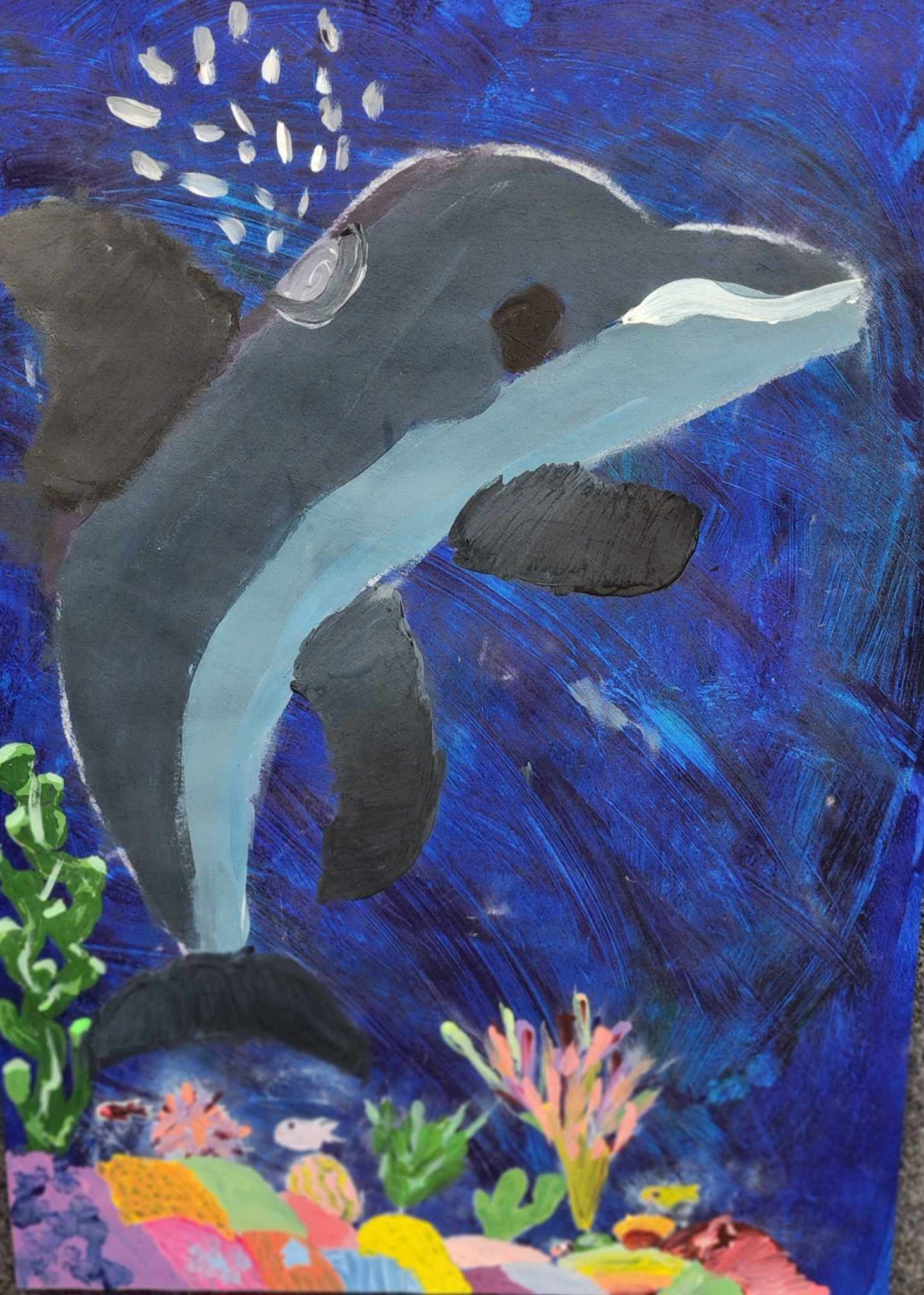 Tilly Naar, Dolphin Reef