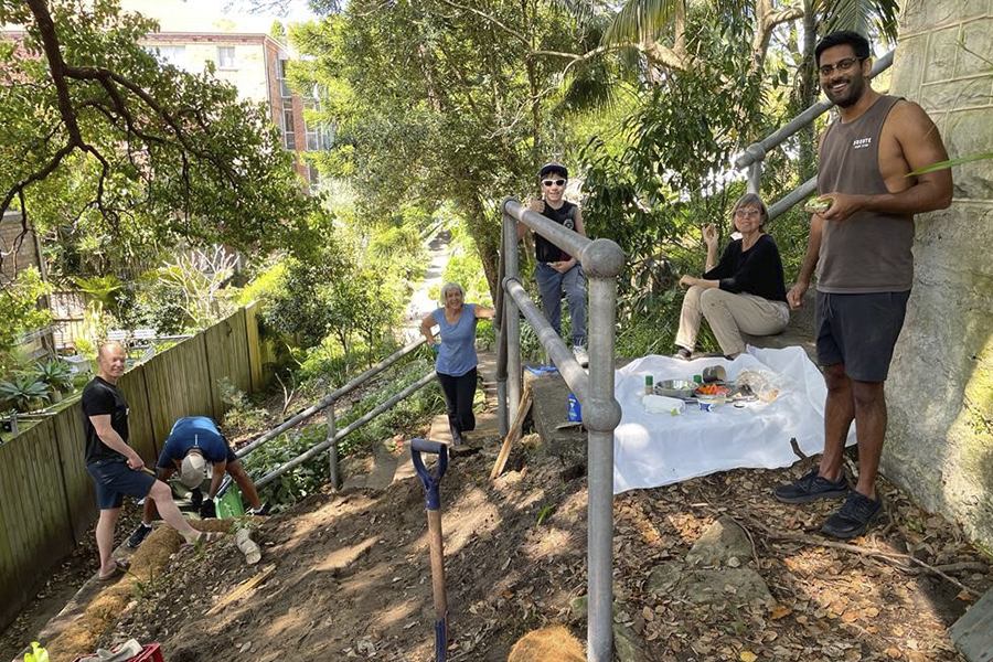 Restoring the Laneway