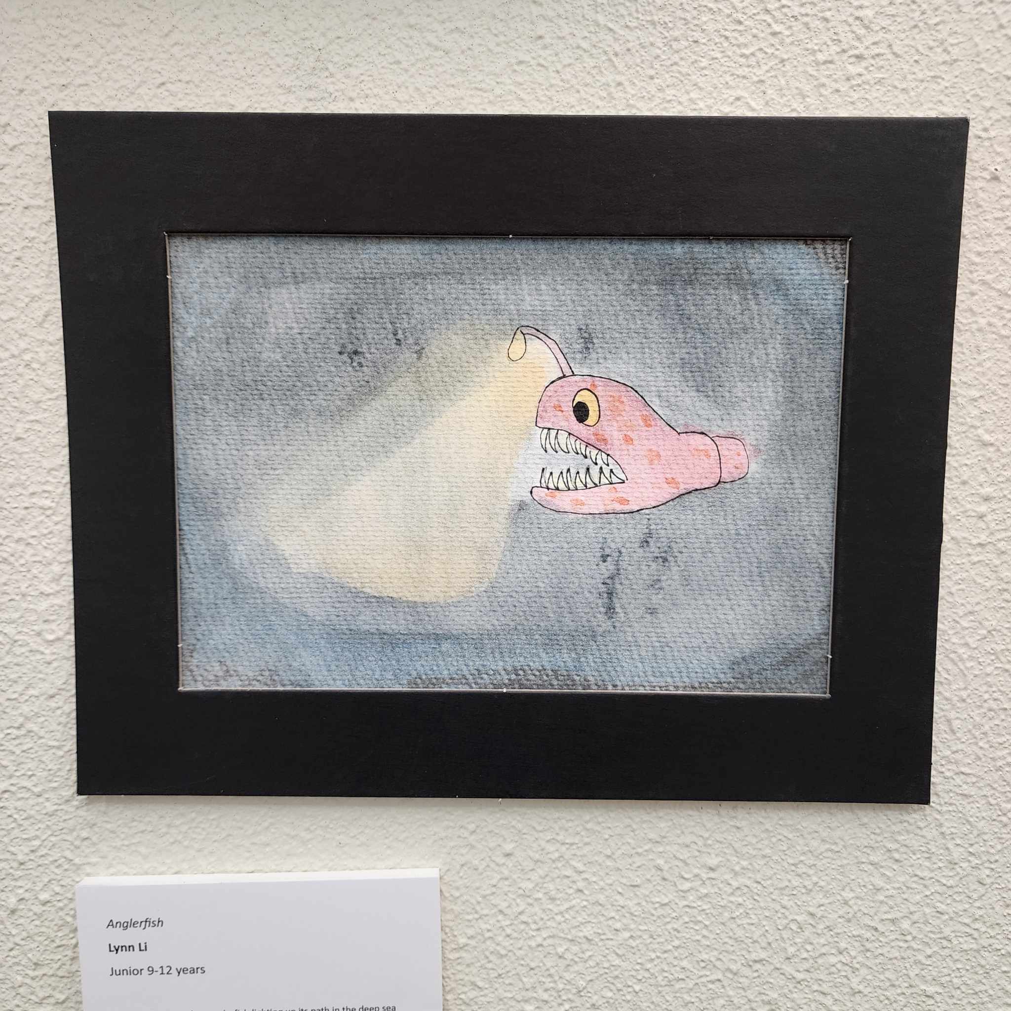 Lynn Li, Anglefish