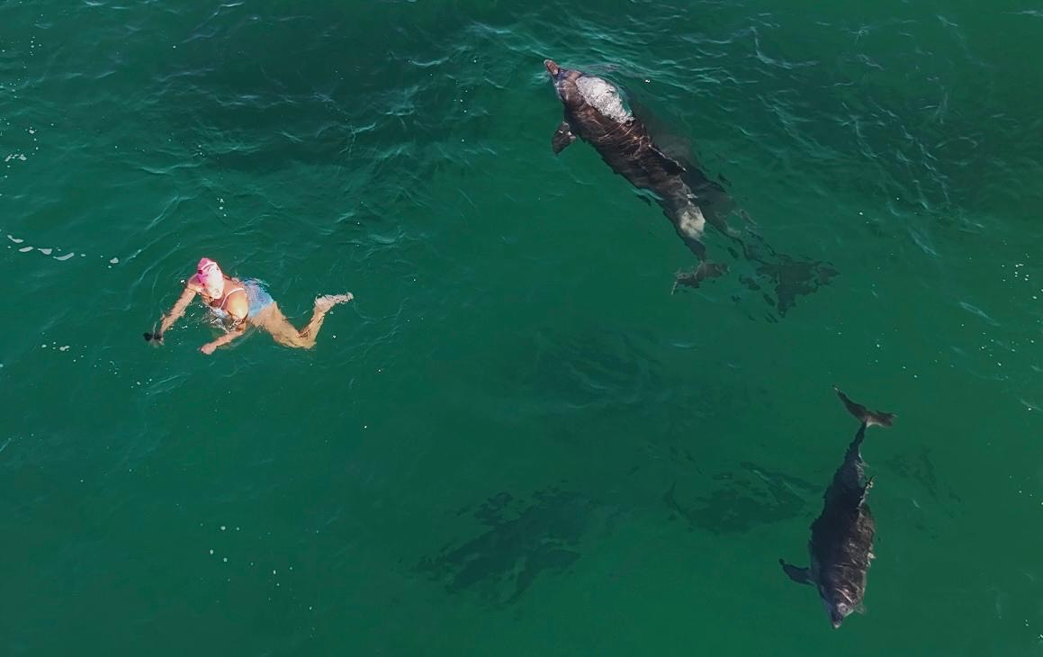 Angie in a blue swimming costume adn pink swim hat in the ocean with 2 dolphins swimming close by