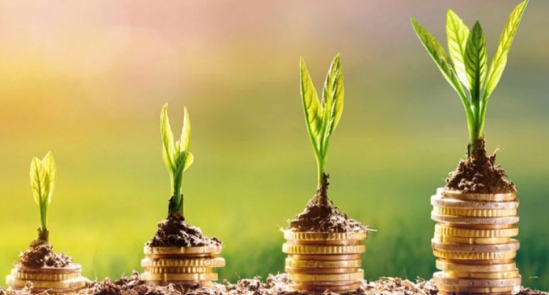 trees growing on money