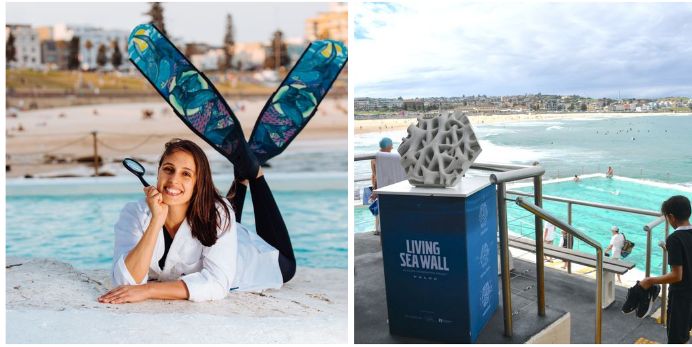 Dr Vanessa Pirotta next to a sea pool, and a sculpture of a living sea wall