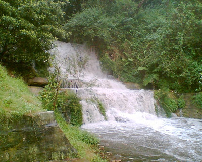 Picture of Bronte Waterfall