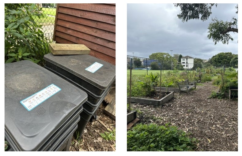 Compost bins and community garden 
