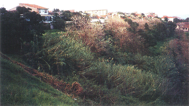 Corner of Bronte Gully1993