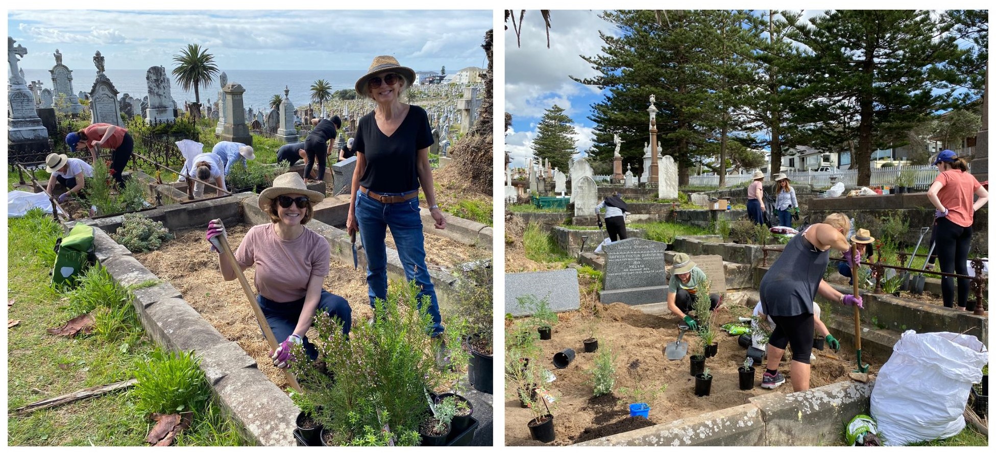 Volunteers gardening in Waverley Cemetery