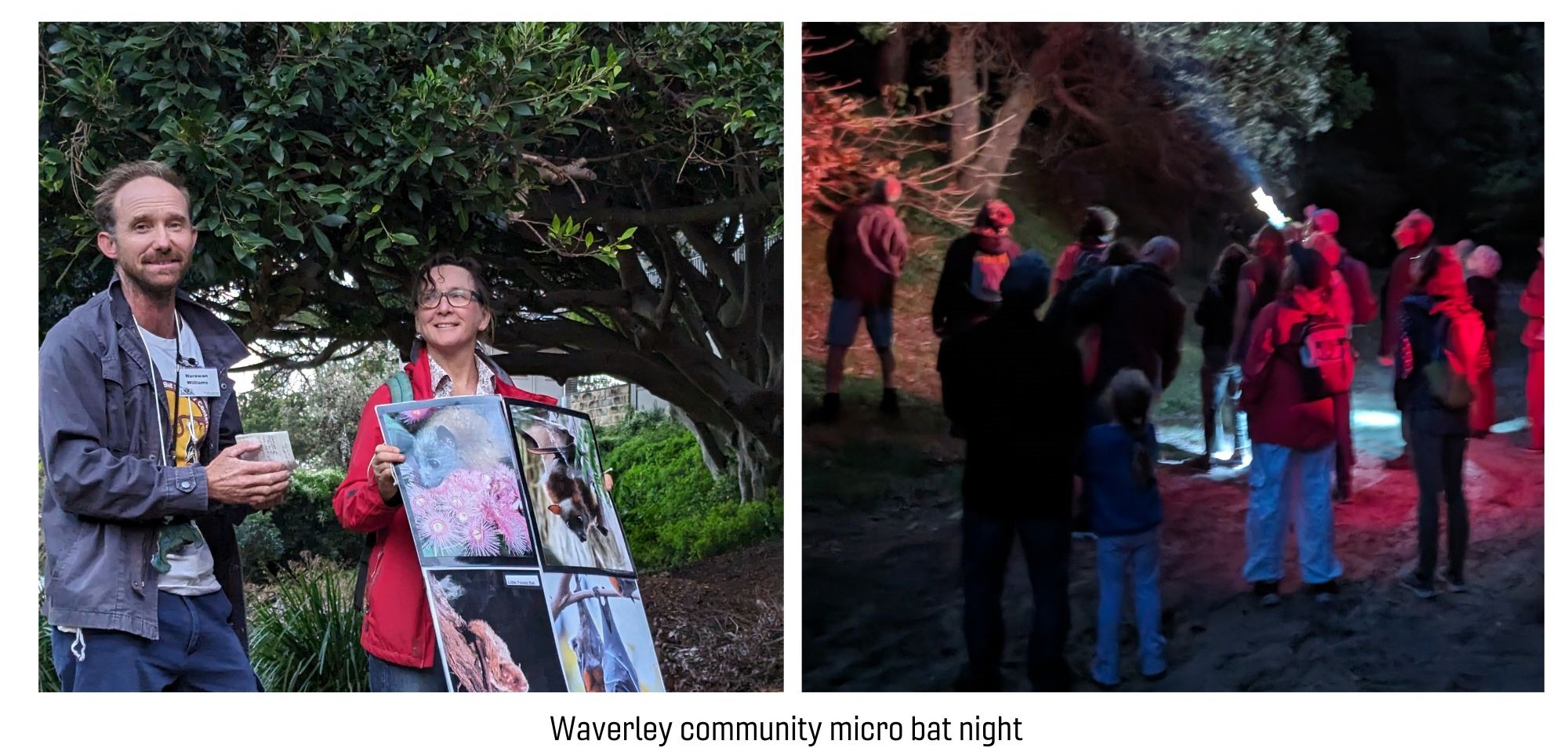 image of presenter Narawan giving a talk in Bronte Gully. And a group of people looking up into a tree at night spotting wildlife.