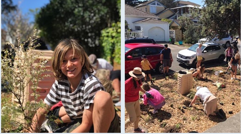 Planting of the verge