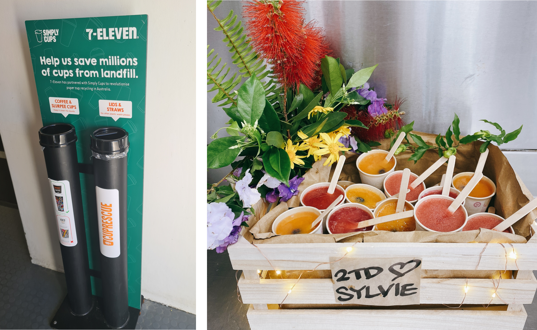 7/11 cup recycling station and a tray of colorful iceblocks decorated with native flowers